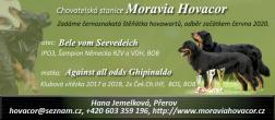G-vrh Moravia Hovacor [nové okno]